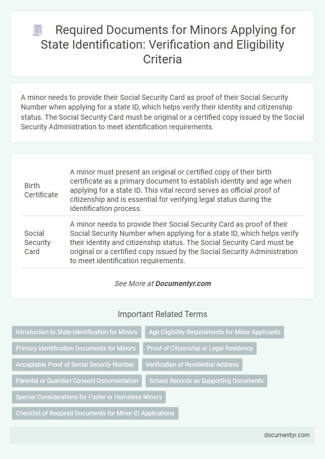 Required Documents for Minors Applying for State Identification: Verification and Eligibility Criteria