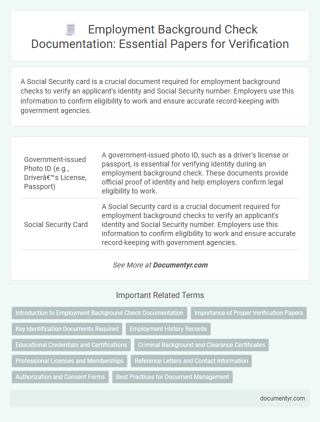 Employment Background Check Documentation: Essential Papers for Verification