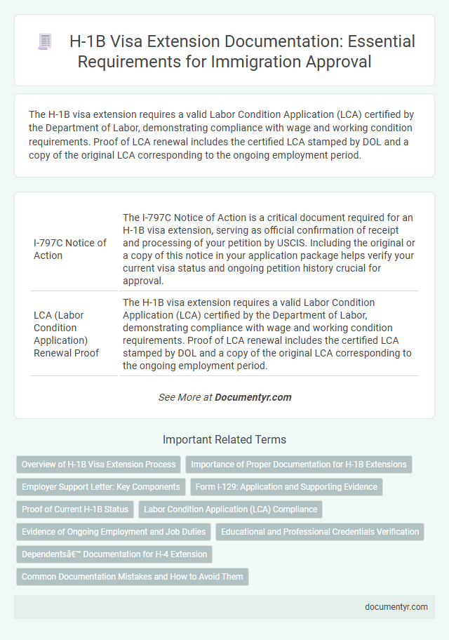 H-1B Visa Extension Documentation: Essential Requirements for Immigration Approval