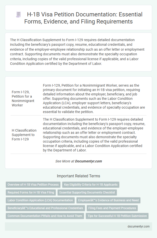 H-1B Visa Petition Documentation: Essential Forms, Evidence, and Filing Requirements