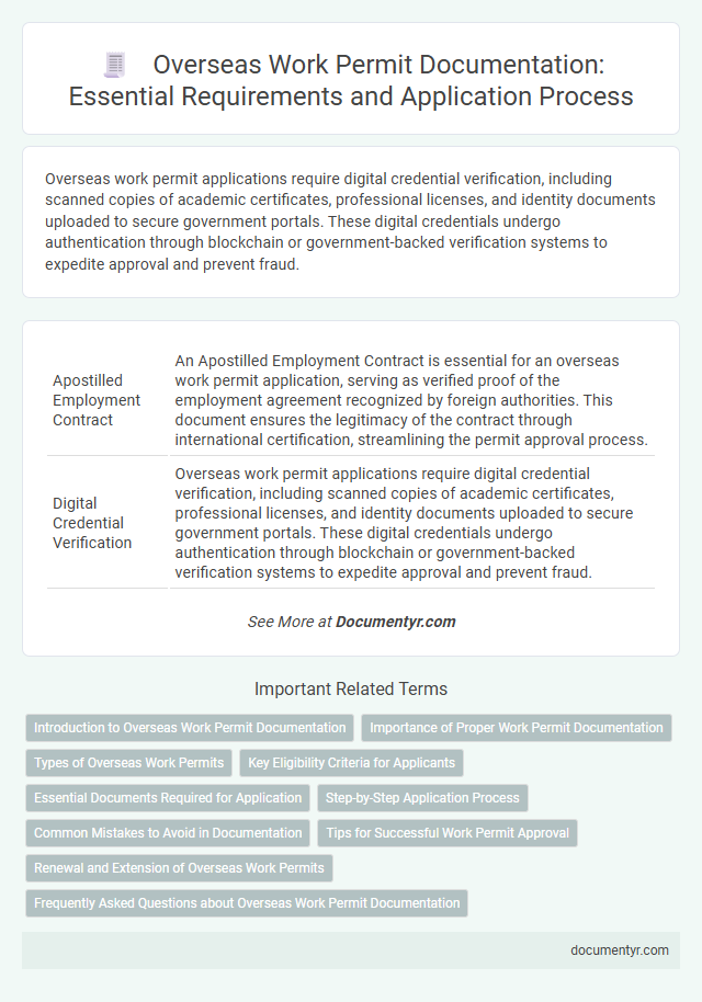 Overseas Work Permit Documentation: Essential Requirements and Application Process