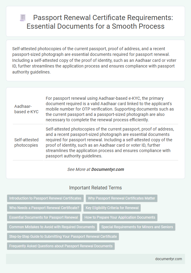 Passport Renewal Certificate Requirements: Essential Documents for a Smooth Process