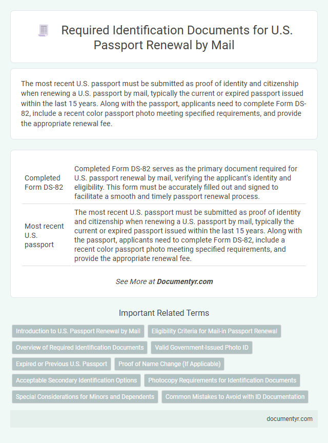 Required Identification Documents for U.S. Passport Renewal by Mail