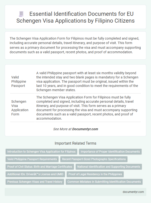 Essential Identification Documents for EU Schengen Visa Applications by Filipino Citizens