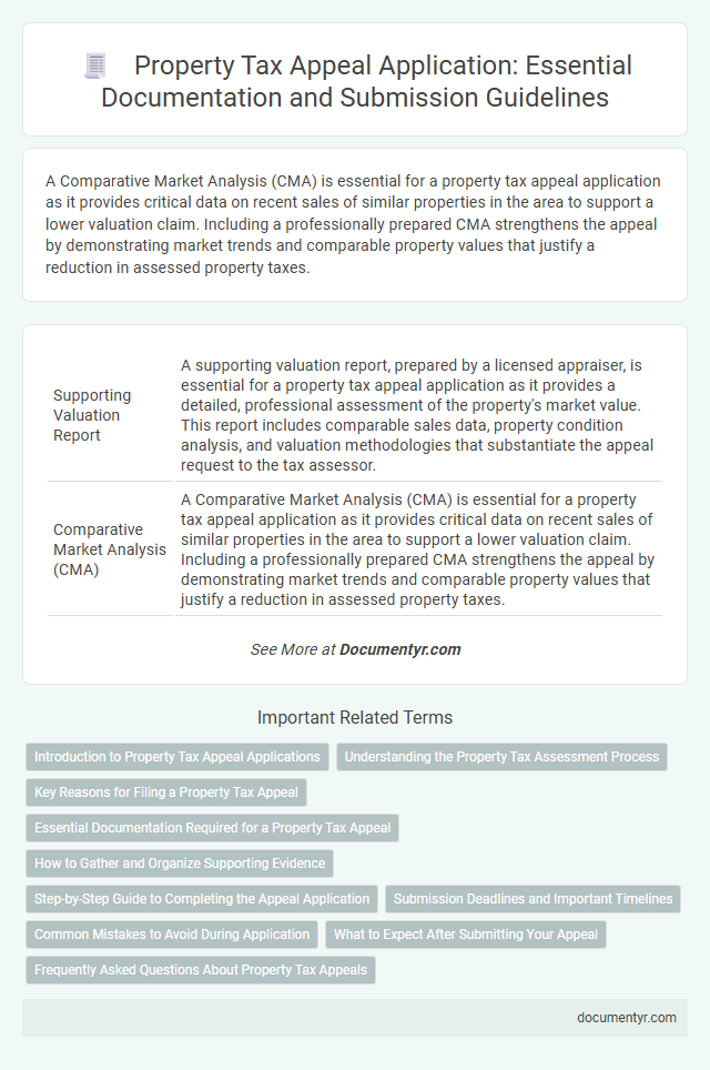 Property Tax Appeal Application: Essential Documentation and Submission Guidelines