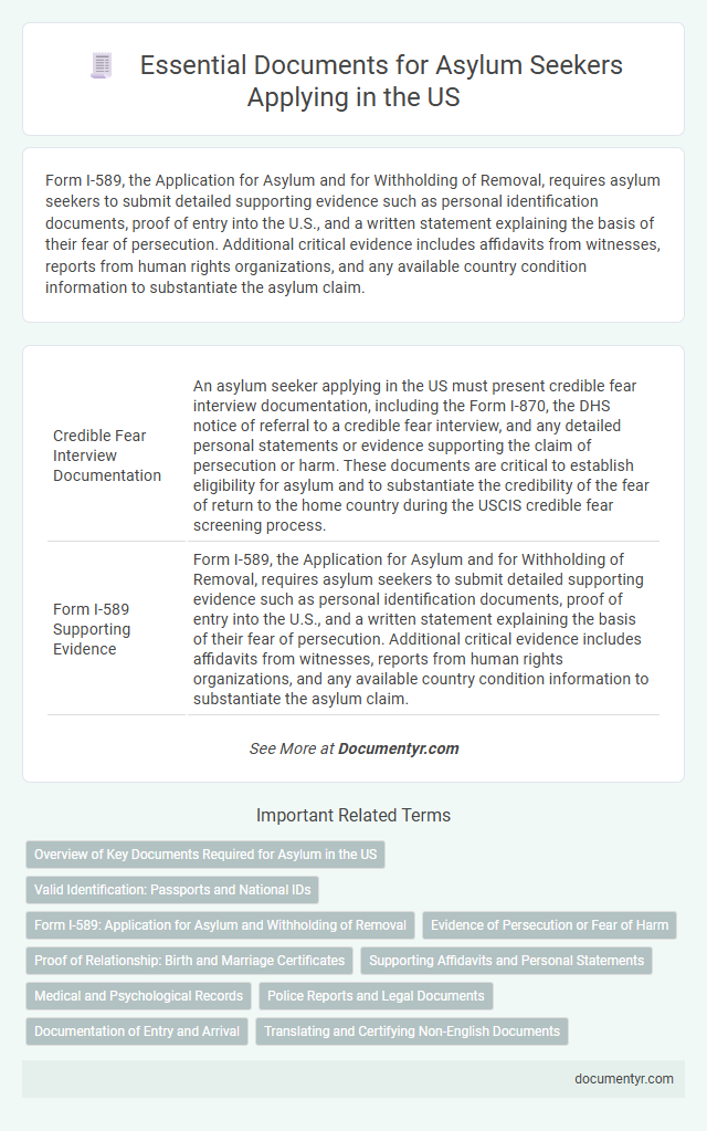 Essential Documents for Asylum Seekers Applying in the US