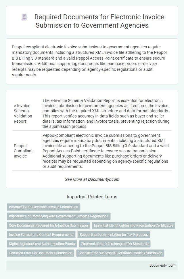 Required Documents for Electronic Invoice Submission to Government Agencies