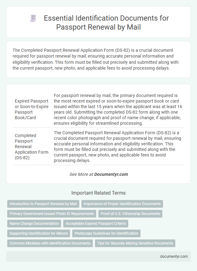 Essential Identification Documents for Passport Renewal by Mail