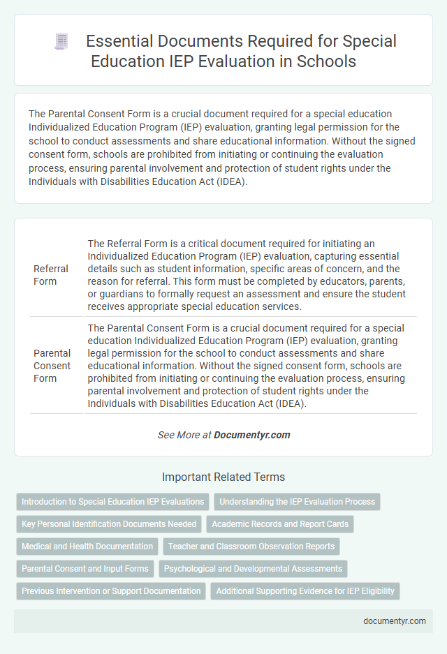 Essential Documents Required for Special Education IEP Evaluation in Schools