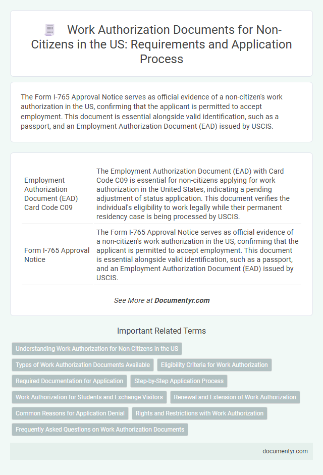Work Authorization Documents for Non-Citizens in the US: Requirements and Application Process