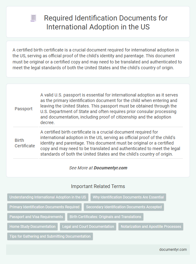 Required Identification Documents for International Adoption in the US