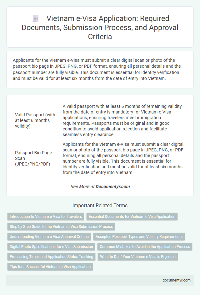 Vietnam e-Visa Application: Required Documents, Submission Process, and Approval Criteria
