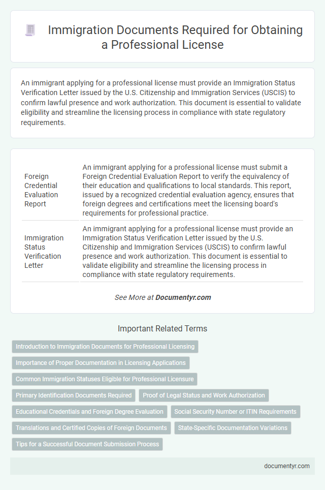 Immigration Documents Required for Obtaining a Professional License