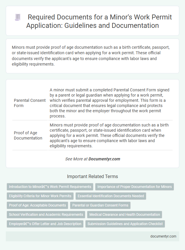 Required Documents for a Minor's Work Permit Application: Guidelines and Documentation