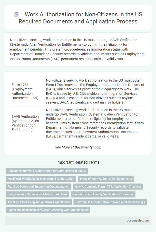 Work Authorization for Non-Citizens in the US: Required Documents and Application Process