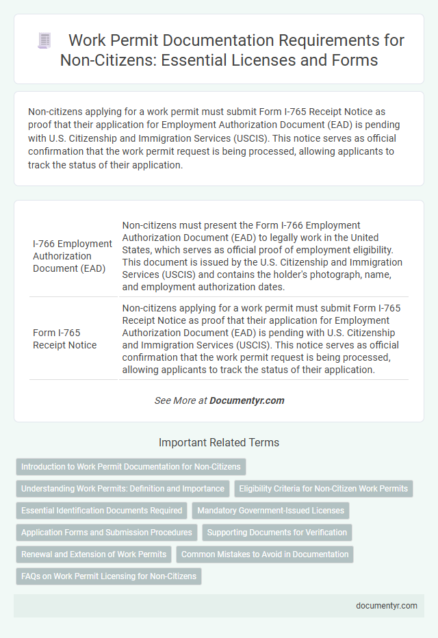 Work Permit Documentation Requirements for Non-Citizens: Essential Licenses and Forms
