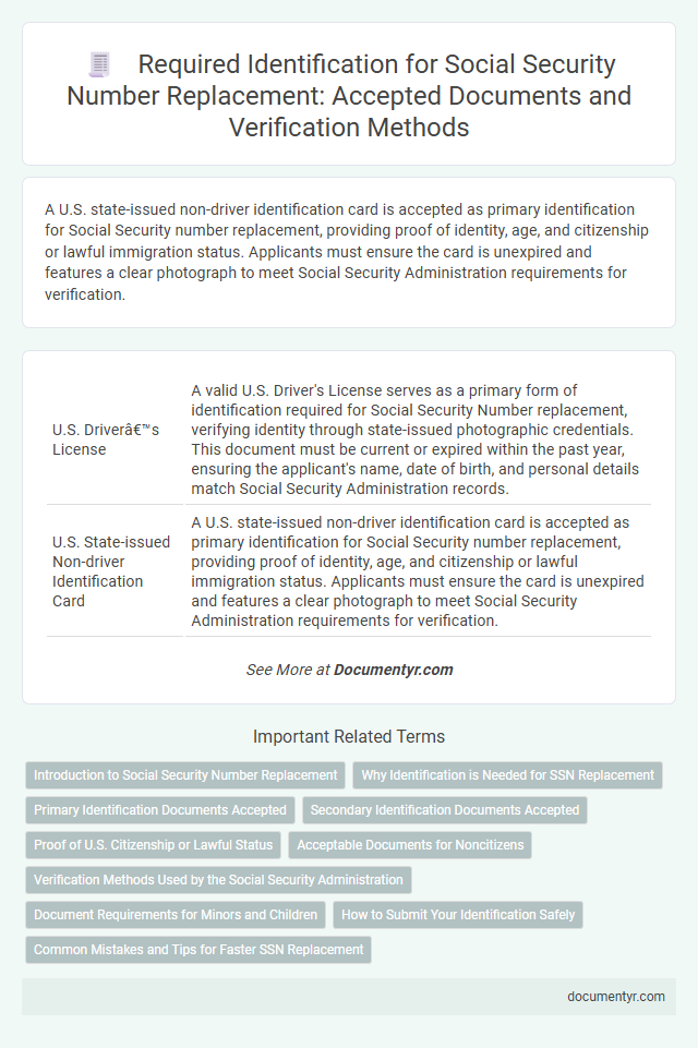 Required Identification for Social Security Number Replacement: Accepted Documents and Verification Methods